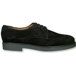 Beberlis Black Suede Wingtip Oxford Hot